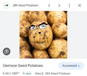 image - 2024-03-18T193120.811.png