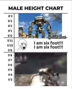 4_6041947781973677300.mp4