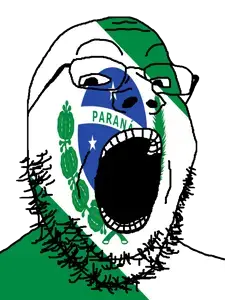 gapejak, brazil, flag, glasses, looking at you, open mouth, paraná, portuguese text, soyjak, star (symbol)