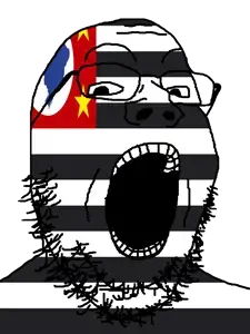 gapejak, brazil, flag, glasses, looking at you, open mouth, são paulo, soyjak, star (symbol), stubble