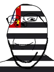 gapejak, wholesome soyjak, brazil, flag, glasses, looking at you, são paulo, soyjak, star (symbol), stubble