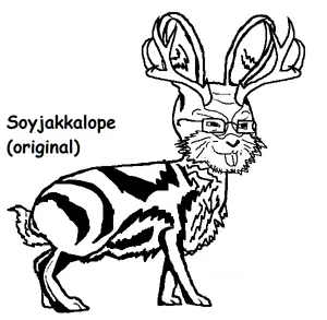 7346.jpg