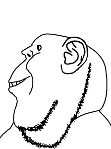 salsamaster, impish soyak ears, impish side ears, bald, chin, double chin, ear, from side, no glasses, nose