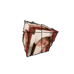fatjak, fatjak irl, 2019, 3dgifmaker, animated, beard, closed mouth, clothes, distorted, fat