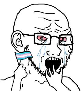 crying_soyjak_transflag.png