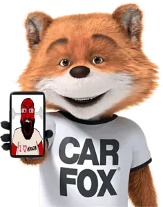angry, carfag, carfax, carfox, fox, hate, holding object, holding phone, nigger, phone