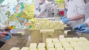 Exquisite_Quisine (video-converter.com).mp4