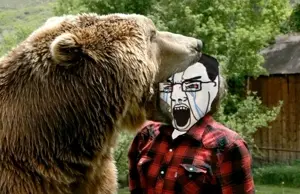 bernd bear head bite.jpg