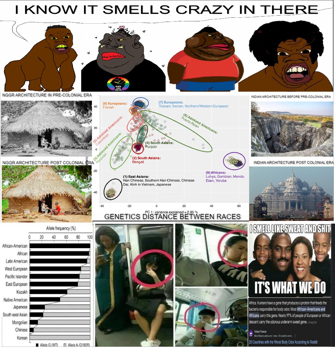 feraljak, meximutt, feralnigger, angry, animal, ape, architecture, black lives matter, black skin, bone