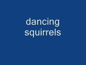 dancingsquirrels.mp4