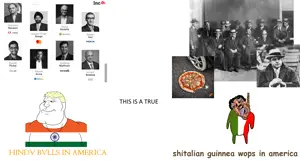 niggertarded jeets.png