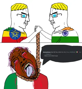 india vs thing.png
