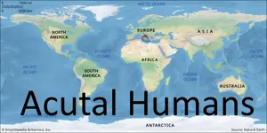 humans vs non humans.png