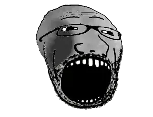736.jpg