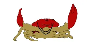 crabjak.jpg