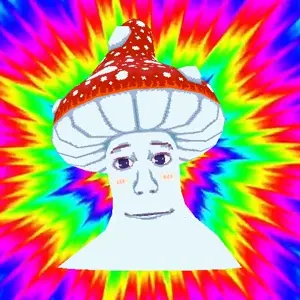 shroomjak calm_2.mp4