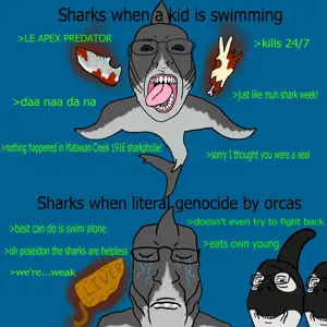 shark soyjak.png