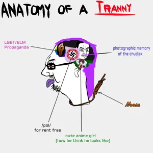 reimu hakurei, chudjak, /pol/, 2soyjaks, anatomy, anime, black lives matter, bloodshot eyes, closed mouth, diagram