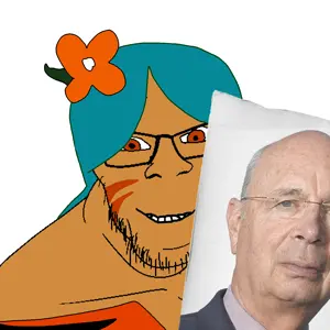 schwabpillow.png