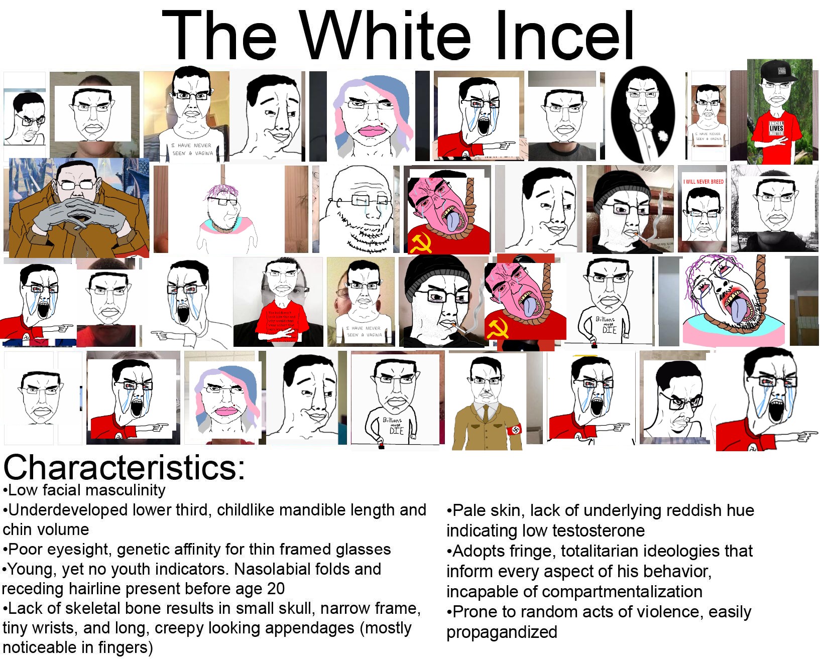 doomer wojak, wojak, bernd, chudjak, smugjak, soyak, chuddy, chudjak front, chudjak seething, hanging troonjak