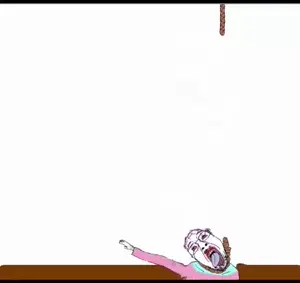 8348.mp4