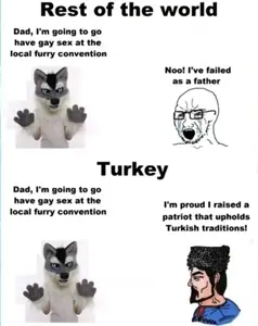 turks in a nutshell.jpeg