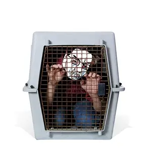 cagecuck.jpg