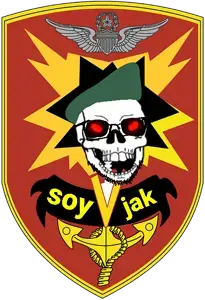 soyVjak1.png