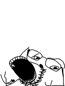 fuckedupdisjointedgapejak (1).png