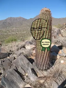 soyak, soyak (smug), award, cactus, desert, irl background, object, prick, smug
