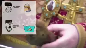 VID_20240904_033715_587.mp4