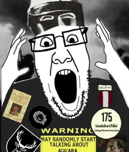 ankarairony instagram.png