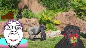 tranny at the zoo.mp4