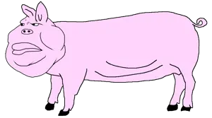 pig.png