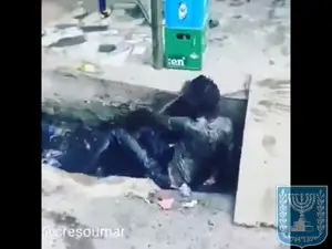 jartycuck daily visions.mp4