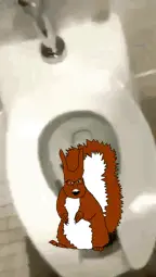 NIGGA I GOT FLUSHED.gif