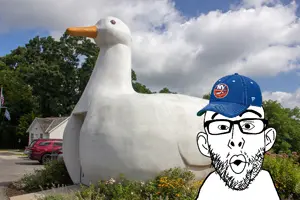 duck nojak.png