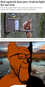 sectionalism, darkiplier, feraljak, markiplier soyjak, feralsquirrel, squirreljak, animal, calm, closed eyes, ear