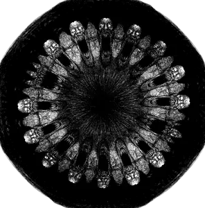 wheel of schizophrenia.png