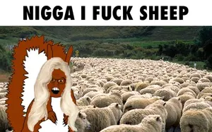 feraljak, feralsquirrel, squirreljak, animal, constantinople, open, open mouth, sheep, squirrel, stubble