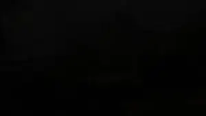 shwarzehaufe_1__90pct_smaller.mp4