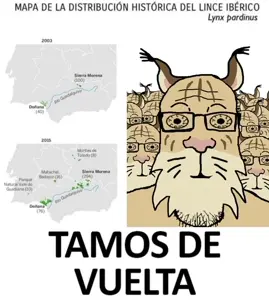 tamos-de-vuelta-soyjak-iberian-lynx.jpeg
