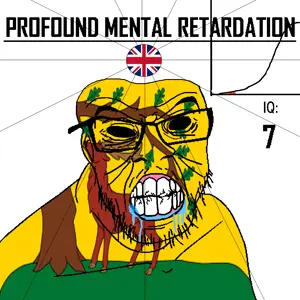 Berkshire_Profound_retardation.png