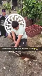 d4-PMO5dBkVHFF11.mp4