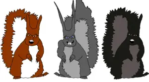Squirrelcolours.png