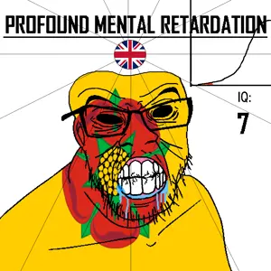 Lancashire County_Profound_retardation.png