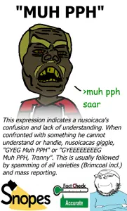 muh pph.png