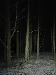 markiplier soyjak, neutralplier, beard, calm, closed eyes, dark, dark area, darkness, forest, glasses