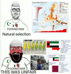 islamnaturalselectionniggers.jpg