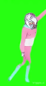 1733340265808216.webm